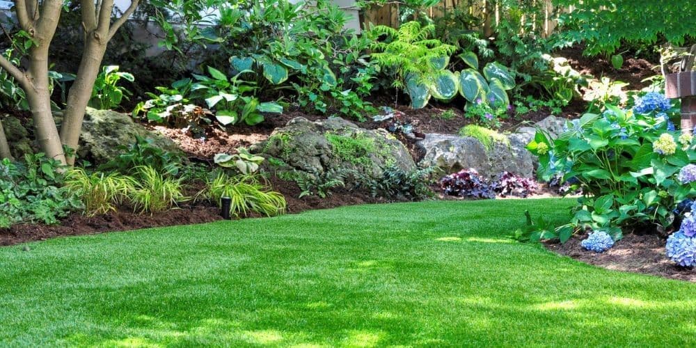 Landscape Contractors in Los Angeles