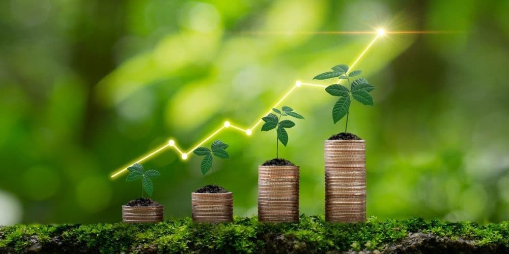 Finance & Insurance Services in Los Angeles